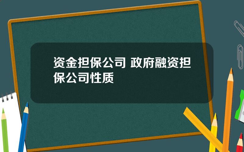 资金担保公司 政府融资担保公司性质